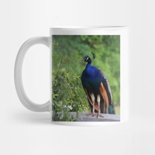 In Deep Thought Mug